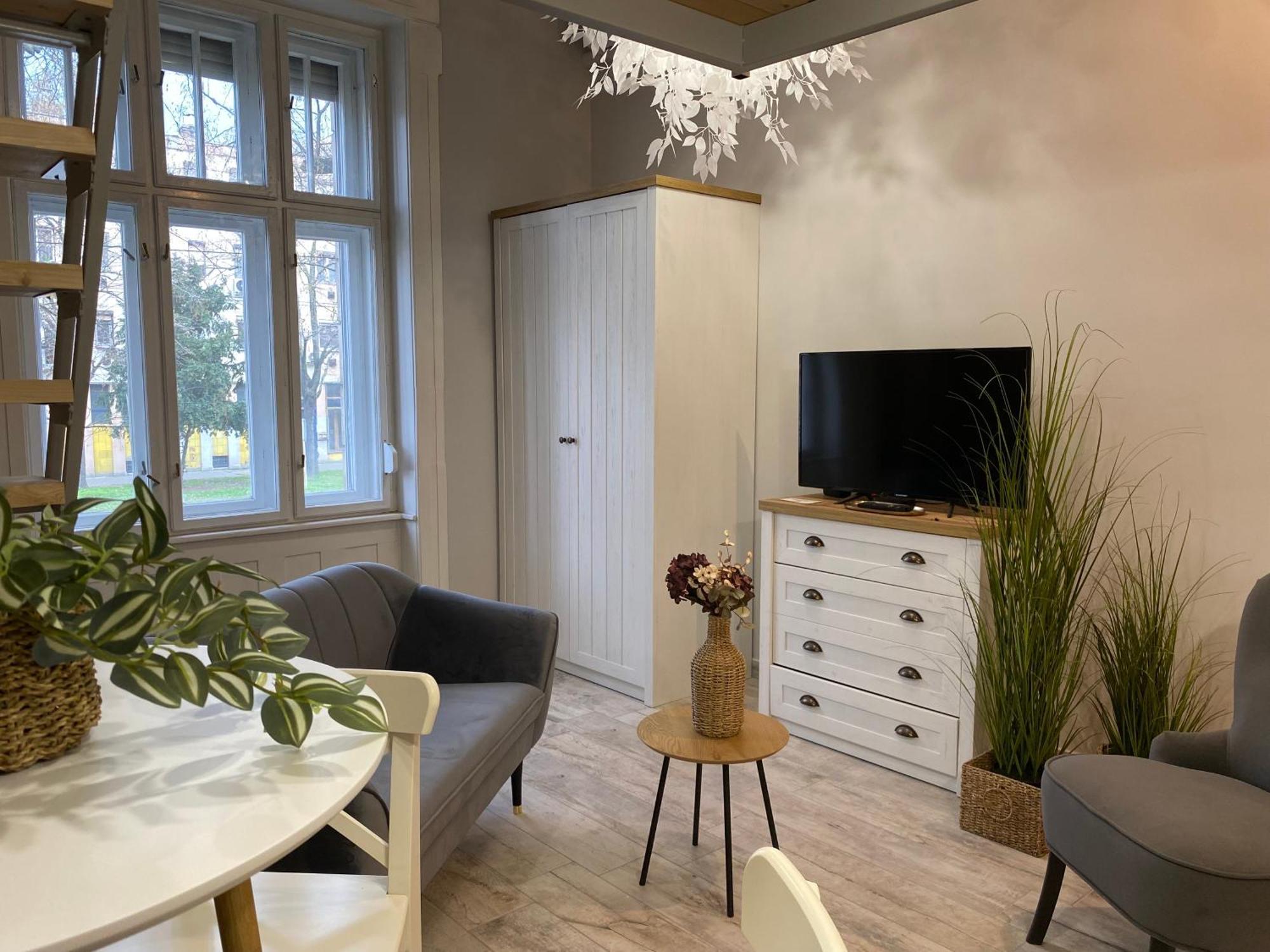 Paris - Center Apartament Seghedin